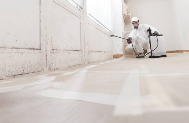 24/7 Emergency Basement Mold Removal experts in Hughesville, PA