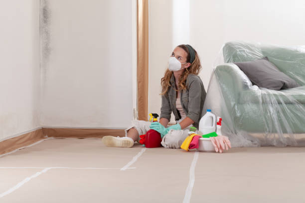 Reliable Basement Mold Removal contractor in Hughesville, PA by WQB Mold Removal